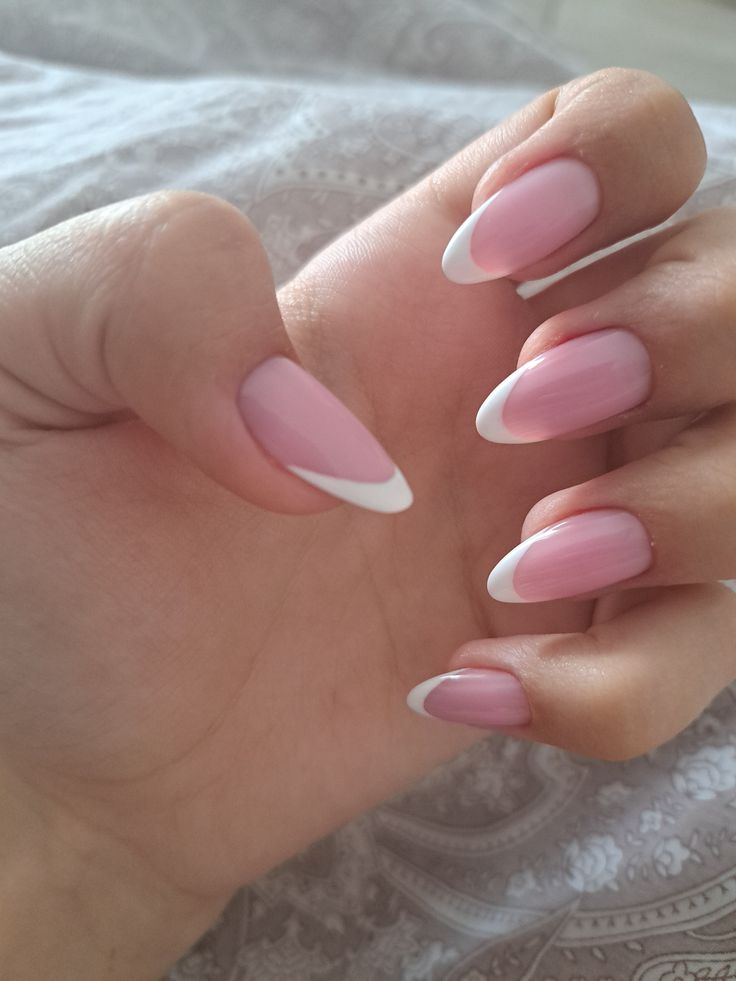 Solar Pink & White (French)